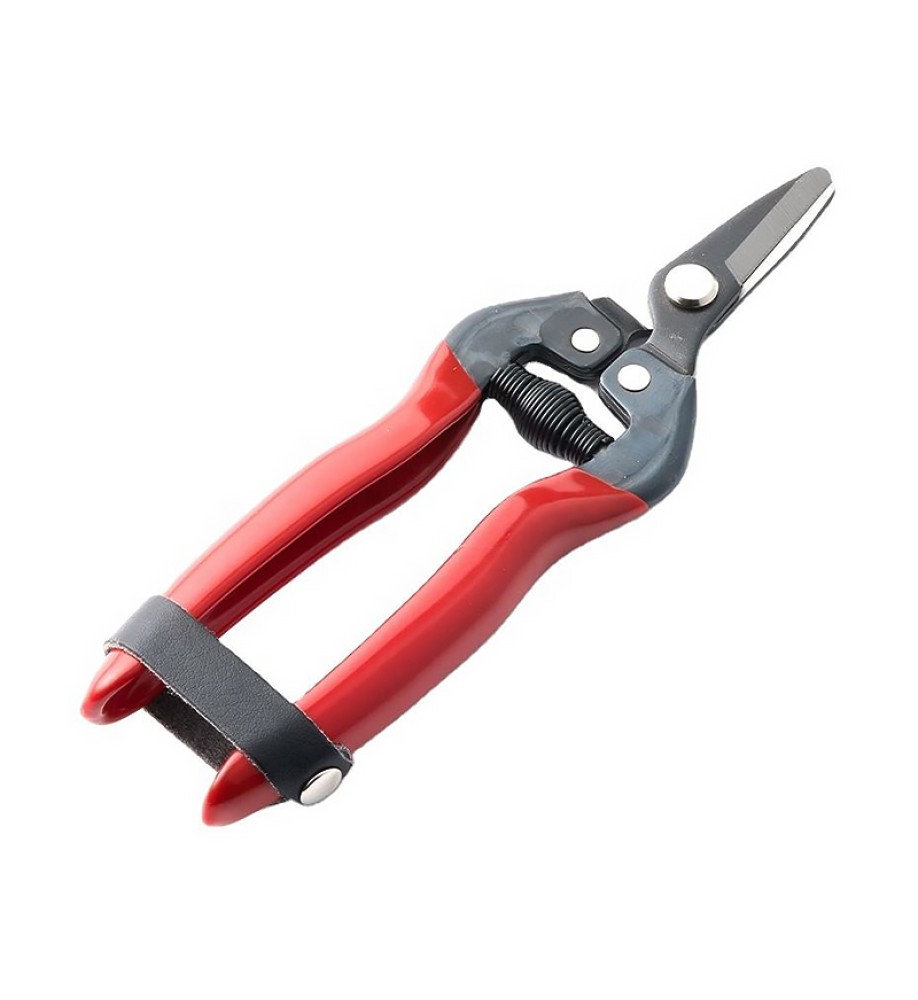 Curved Flower Pruners