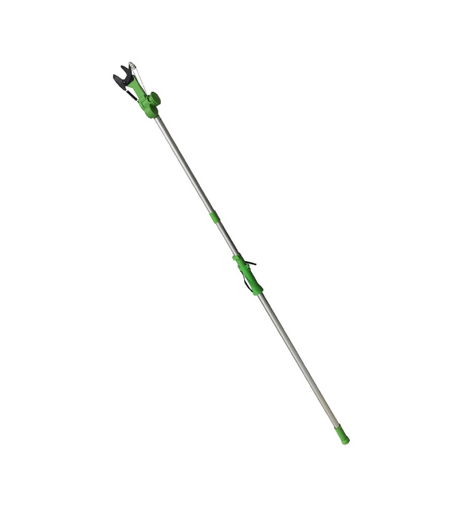 Extendable Tree Pruner