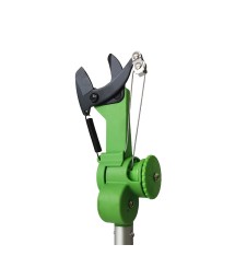 Extendable Tree Pruner