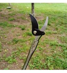 High-Altitude Pruning Shears